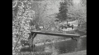 Link to Video | Paul Karl Lieberenz