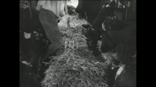 Link to Video | Paul Karl Lieberenz