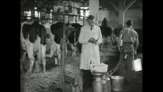 Link to Video | Paul Karl Lieberenz