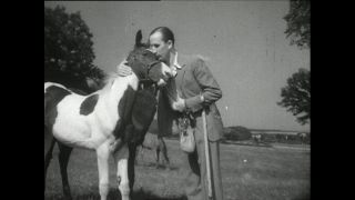Link to Video | horse stud farm, Paul Karl Lieberenz, horse breeding, Equidae, Germany, 1950s, Bad Homburg vor der Höhe, Erlenhof Stud Farm