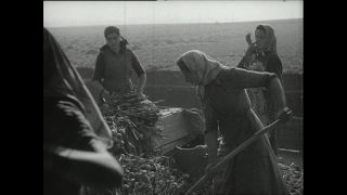 Link to Video | Paul Karl Lieberenz