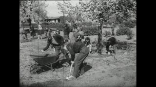 Link to Video | Paul Karl Lieberenz