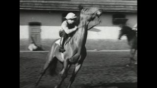 Link to Video | horse stud farm, Paul Karl Lieberenz, horse breeding, Equidae, Germany, 1950s, Bad Homburg vor der Höhe, Erlenhof Stud Farm
