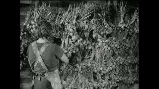 Link to Video | Paul Karl Lieberenz