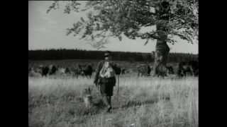 Link to Video | Paul Karl Lieberenz