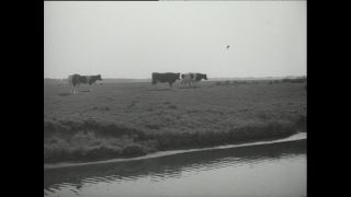 Link to Video | Paul Karl Lieberenz