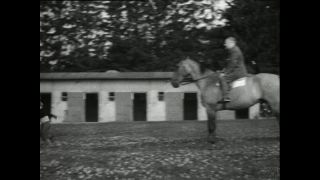 Link to Video | horse stud farm, Paul Karl Lieberenz, horse breeding, Equidae, Germany, 1950s, Bad Homburg vor der Höhe, Erlenhof Stud Farm