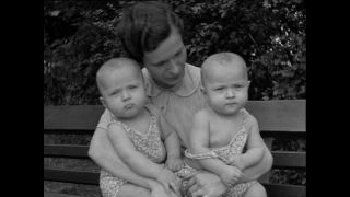 Link to Video | Paul Karl Lieberenz