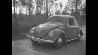 Link to Video | Paul Karl Lieberenz