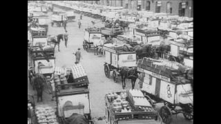 Link to Video | Paul Karl Lieberenz