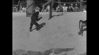 Link to Video | Paul Karl Lieberenz