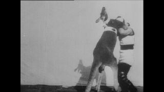 Link to Video | Paul Karl Lieberenz, sport, 1895