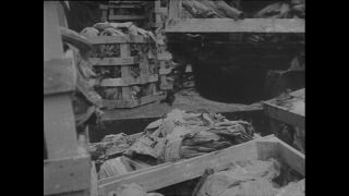 Link zum Video | Paul Lieberenz