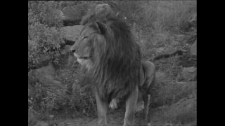 Link to Video | Paul Karl Lieberenz