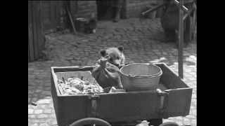 Link to Video | Paul Karl Lieberenz