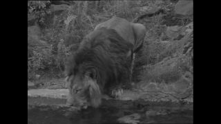 Link to Video | Paul Karl Lieberenz