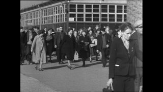 Link to Video | Paul Karl Lieberenz