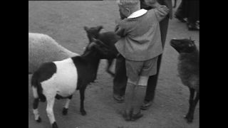 Link to Video | Paul Karl Lieberenz