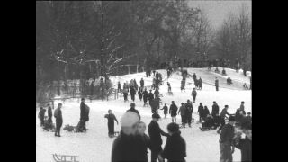 Link to Video | Paul Karl Lieberenz