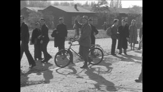 Link to Video | Paul Karl Lieberenz