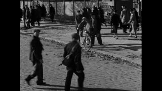 Link to Video | Paul Karl Lieberenz