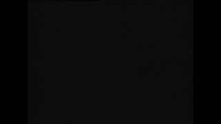 Link to Video | Paul Karl Lieberenz