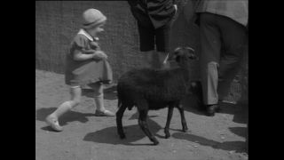 Link zum Video | Paul Lieberenz