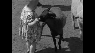 Link to Video | Paul Karl Lieberenz