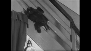 Link to Video | Paul Karl Lieberenz