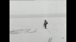 Link to Video | Paul Karl Lieberenz