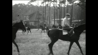 Link to Video | horse stud farm, Paul Karl Lieberenz, horse breeding, Equidae, Germany, 1950s, Bad Homburg vor der Höhe, Erlenhof Stud Farm