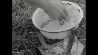 Link to Video | Paul Karl Lieberenz