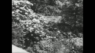 Link to Video | Paul Karl Lieberenz