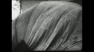 Link to Video | Paul Karl Lieberenz