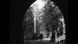 Link to Video | Paul Karl Lieberenz