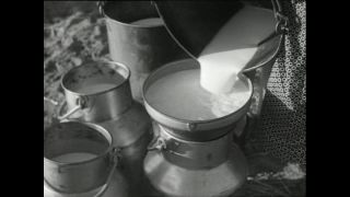 Link to Video | Paul Karl Lieberenz