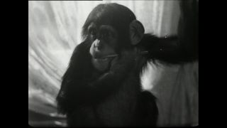 Link to Video | Paul Karl Lieberenz