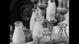 Link to Video | Paul Karl Lieberenz