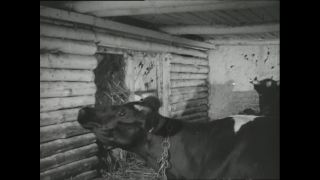 Link to Video | Paul Karl Lieberenz