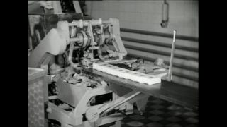 Link to Video | Paul Karl Lieberenz