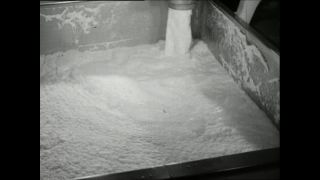 Link to Video | Paul Karl Lieberenz