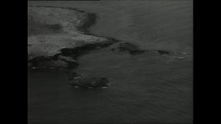 Link to Video | Paul Karl Lieberenz