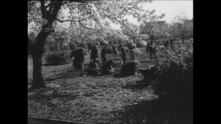 Link to Video | Paul Karl Lieberenz