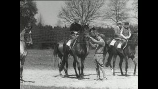 Link to Video | horse stud farm, Paul Karl Lieberenz, horse breeding, Equidae, Germany, 1950s, Bad Homburg vor der Höhe, Erlenhof Stud Farm