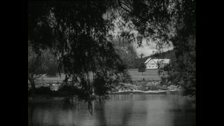 Link to Video | horse stud farm, Paul Karl Lieberenz, horse breeding, Equidae, Germany, 1950s, Bad Homburg vor der Höhe, Erlenhof Stud Farm