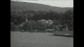Link to Video | horse stud farm, Paul Karl Lieberenz, horse breeding, Equidae, Germany, 1950s, Bad Homburg vor der Höhe, Erlenhof Stud Farm