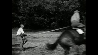 Link to Video | horse stud farm, Paul Karl Lieberenz, horse breeding, Equidae, Germany, 1950s, Bad Homburg vor der Höhe, Erlenhof Stud Farm