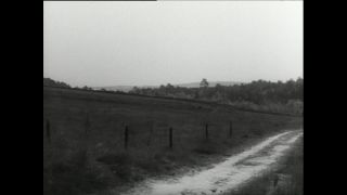 Link to Video | Paul Karl Lieberenz