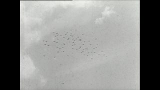 Link to Video | Paul Karl Lieberenz