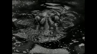 Link zum Video | Paul Lieberenz